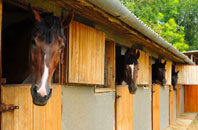 free Blackwall stable construction quotes